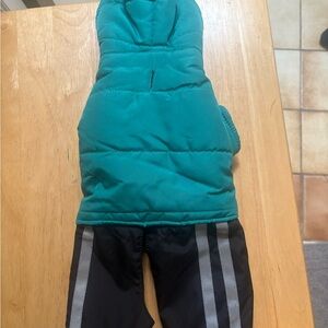 Teal and Black Dog Winter Coat